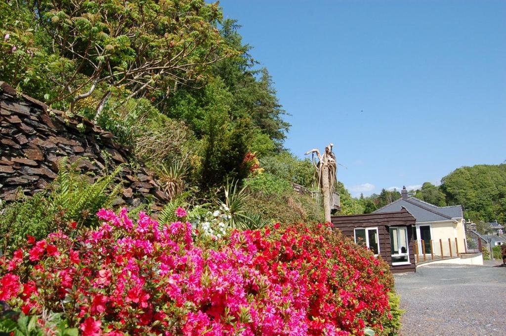 a garden with pink flowers in front of a building at Tawel Fryn Bungalow near Dolgellau in Dolgellau