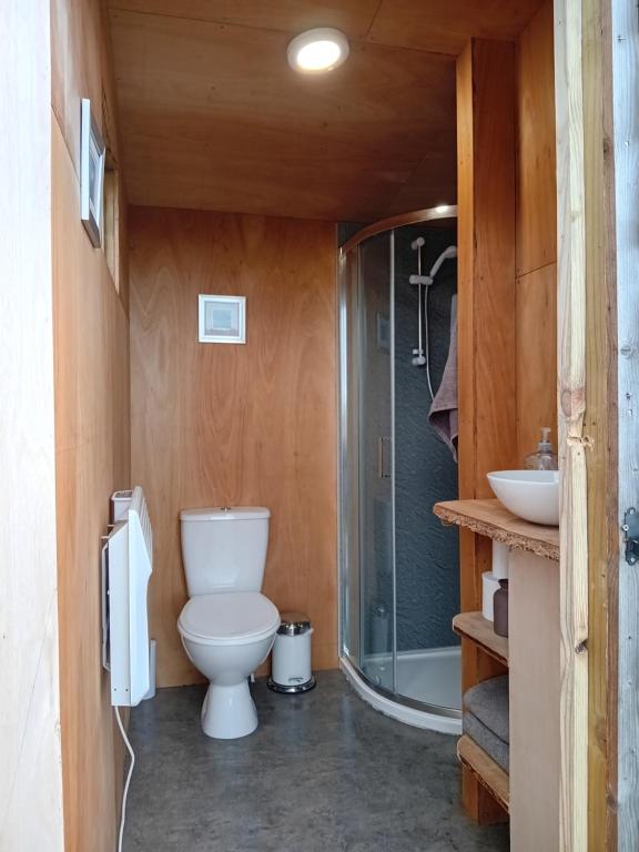 a bathroom with a toilet and a shower at Sunny Mount Shepherd's Hut in Long Marton