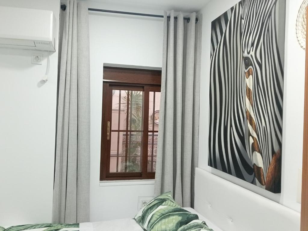 a room with a window and a zebra picture on the wall at Moneiba Centro in Córdoba