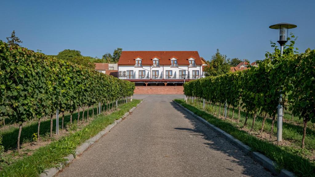 a road in front of a large house with vines at Penzion pod Kraví horou in Bořetice