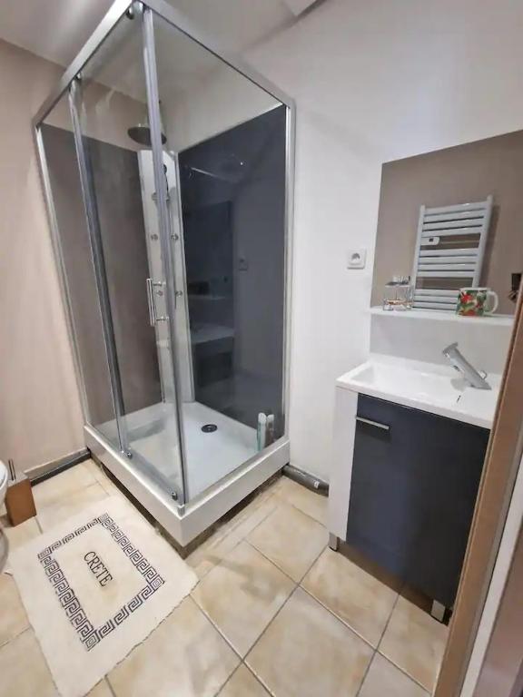 une salle de bain avec une douche en verre et un lavabo dans l'établissement Tiny House La Cabane du Bohémien, à Saint-Quentin