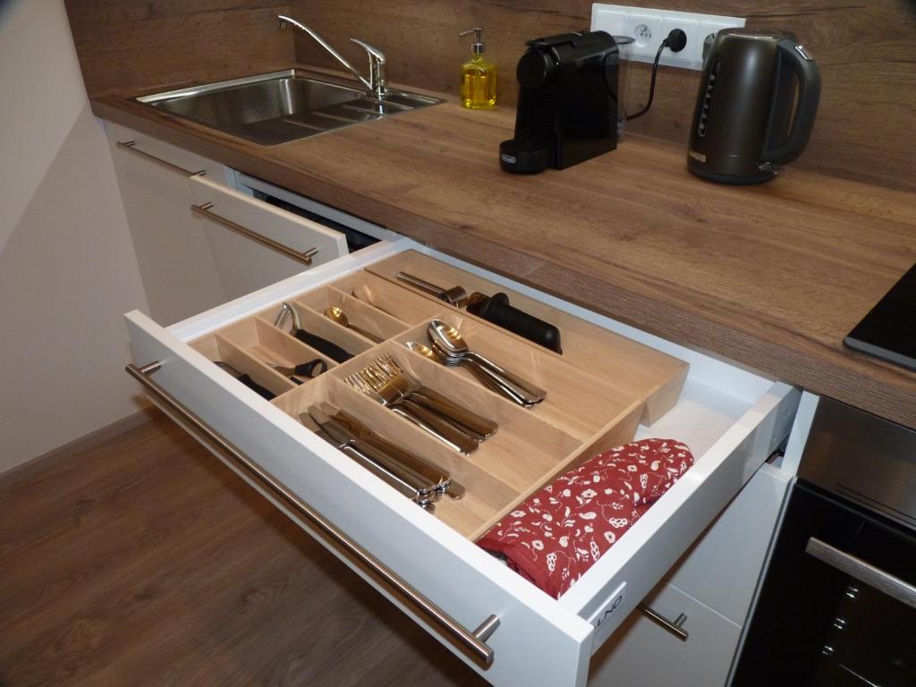 Kuchyň nebo kuchyňský kout v ubytování Apartmán Trilobit