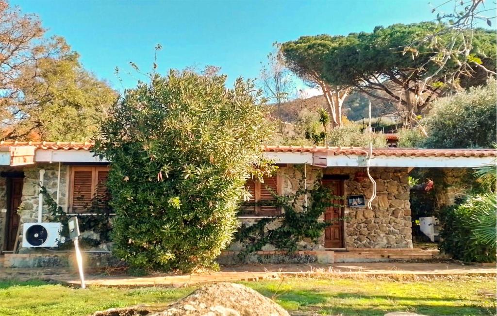 Ioppolo的住宿－Beautiful Home In Joppolo With Wi-fi，前面有棵树的石头房子
