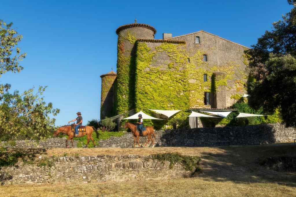 Zahrada ubytování Château de Villarlong