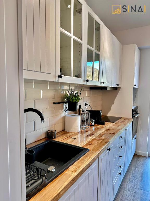 SINAI APH Apartments - Resim 27