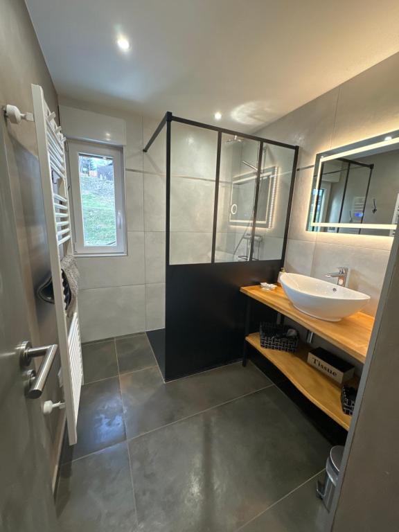 Kúpeľňa v ubytovaní La reine appartement pour deux personnes avec magnifique vue et jacuzzi