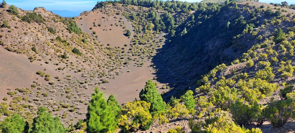 an aerial view of a mountain valley with trees at Las casitas de Pao in El Pinar del Hierro