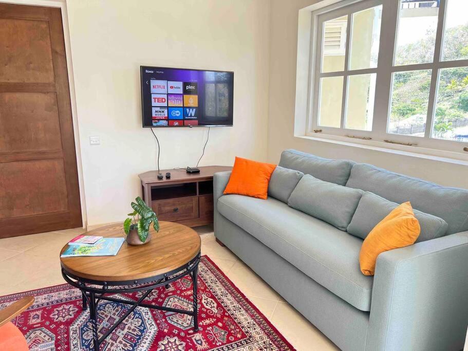 TV a/nebo společenská místnost v ubytování Aruanda Apartment - perfect get-away for two at the top of Bequia