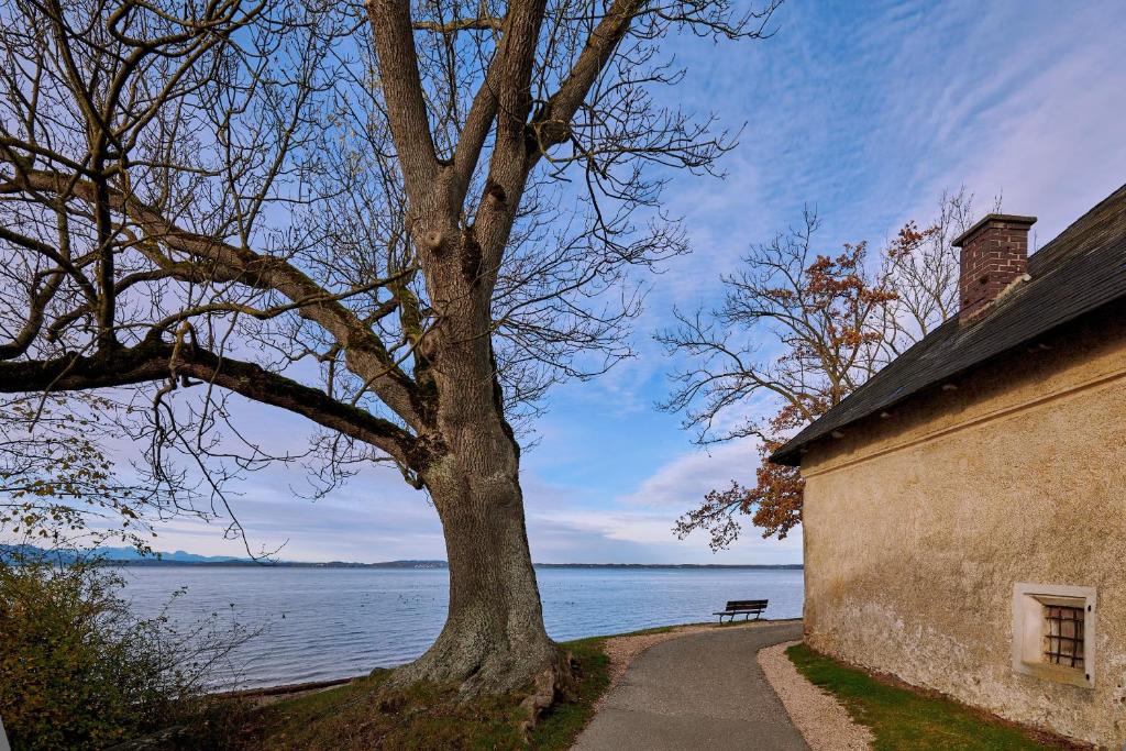 Příroda nedaleko apartmánu