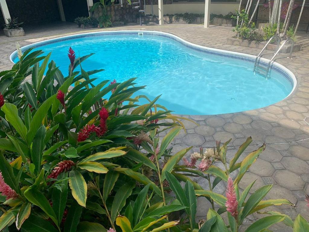 una piscina en un patio con algunas plantas en Villa Maria, en Puerto España