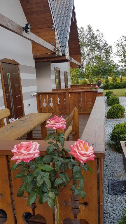 Giardino di Domki u Justyny Podgórzyn Karpacz Sosnówka