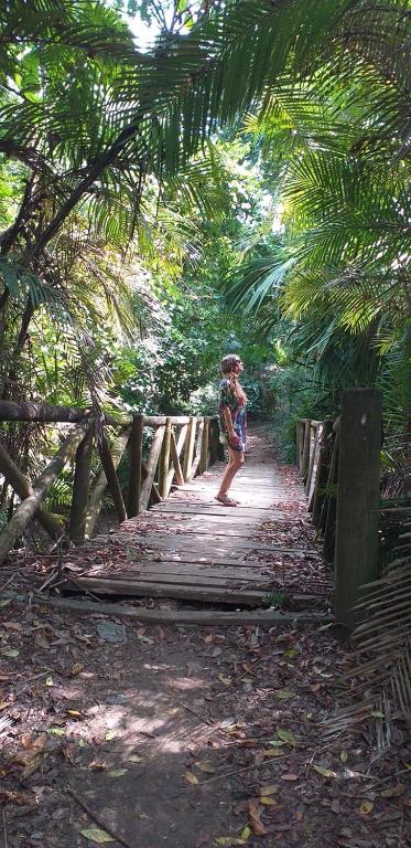 Pajarito Eco-Lodge frente al mar
