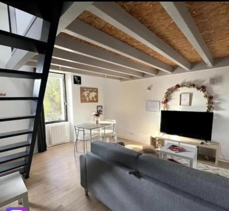 un salon avec un canapé et une télévision dans l'établissement L'Éden - Centre ville & Gare, à Rennes