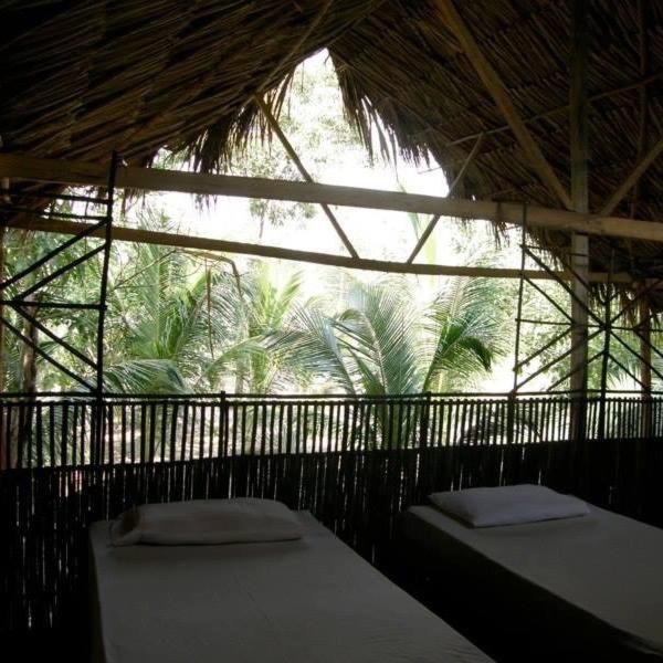 Pajarito Eco-Lodge frente al mar