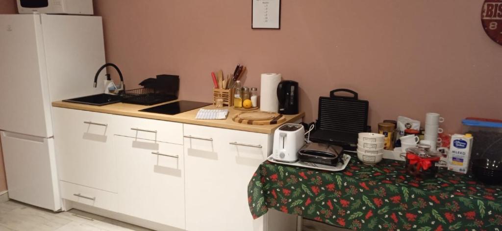 Kuchyň nebo kuchyňský kout v ubytování Apartamenty na Zaciszu