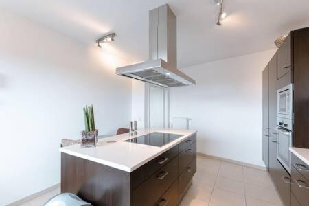 Kuchyň nebo kuchyňský kout v ubytování Modern 2BR Apt in Sandweiler with Terrace