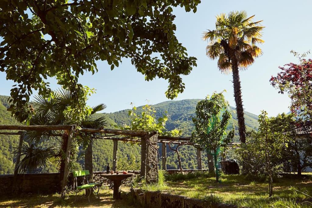 um jardim com uma mesa e uma palmeira em Wild Valley Village Life Apartment in Onsernone em Loco