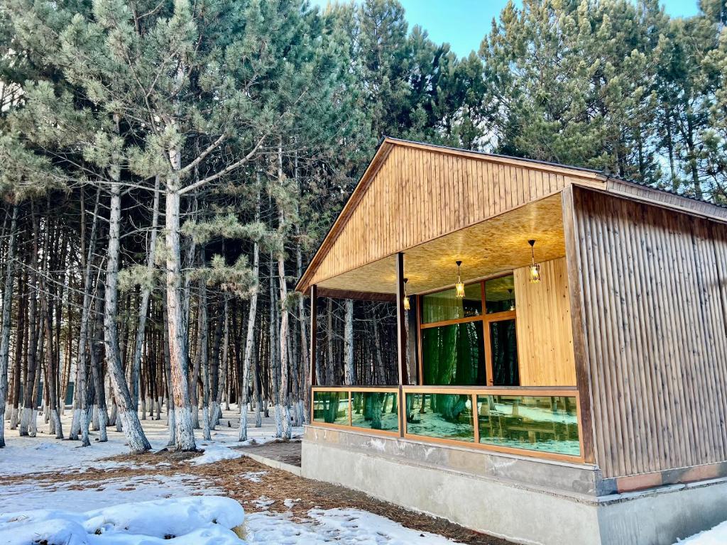 塞萬的住宿－Milenium magic villa on Sevan beach，树林里的房子,地面上积雪