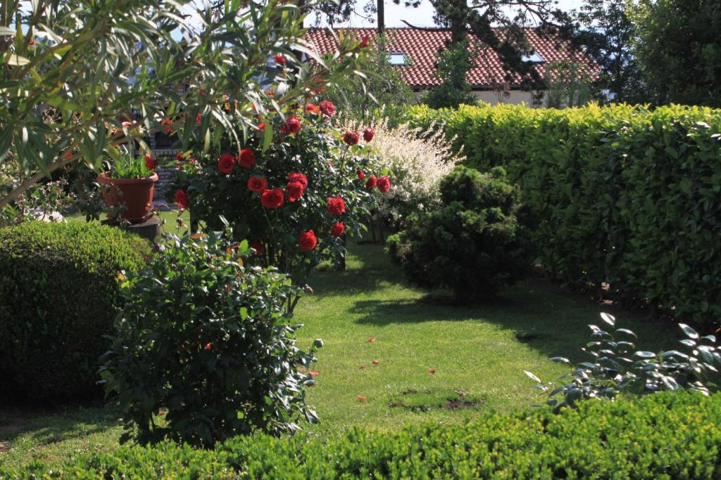 Zahrada ubytování Apartments for families with children Opatija - Pobri, Opatija - 7890
