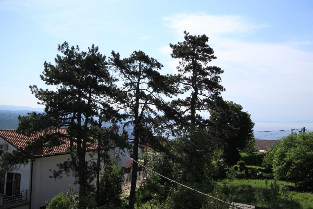 Příroda nedaleko apartmánu
