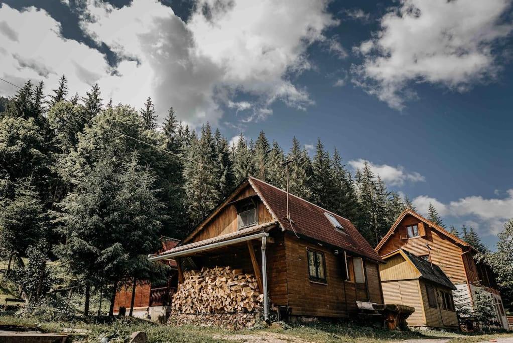 una casa in legno con un mucchio di legna da ardere di Mountain View Tiny House a Lacu Rosu