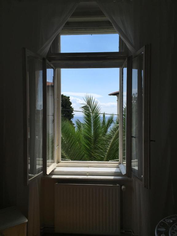 a window with a view of a palm tree at Villa Peppina Apartment in Lovran