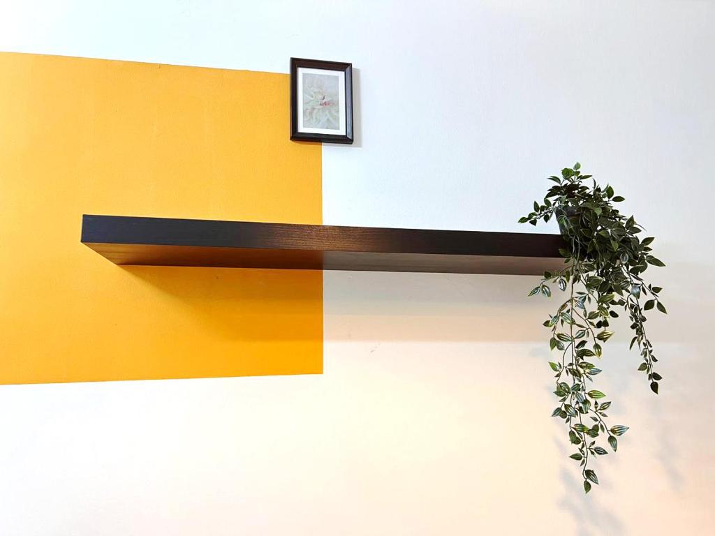 a wall with a shelf with a plant on it at Relaxing Closed Partition Room in Tecom Near Metro in Dubai
