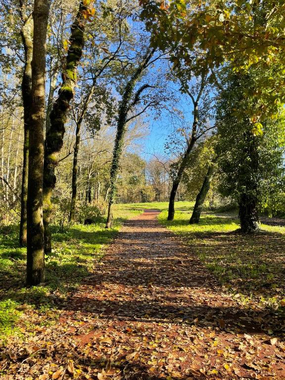 Retiro em Valença - 16