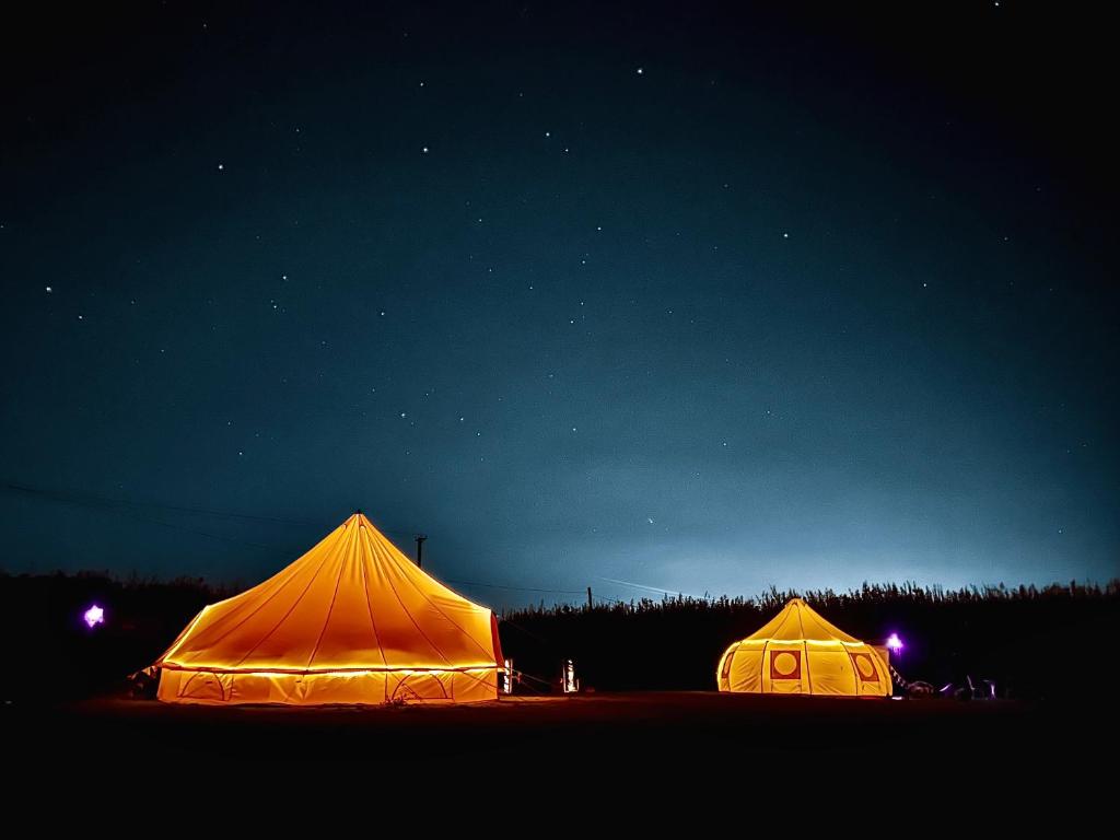 two tents are lit up at night in a field at The Follies Glamping in Maidstone