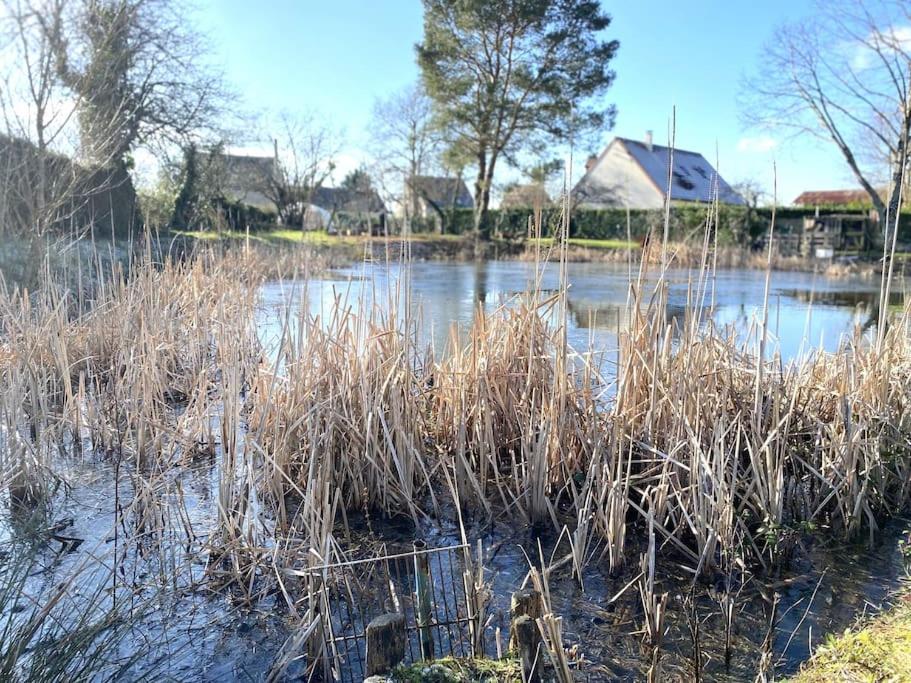 a field with some tall grass in the water at La belle des champs in Luzillé