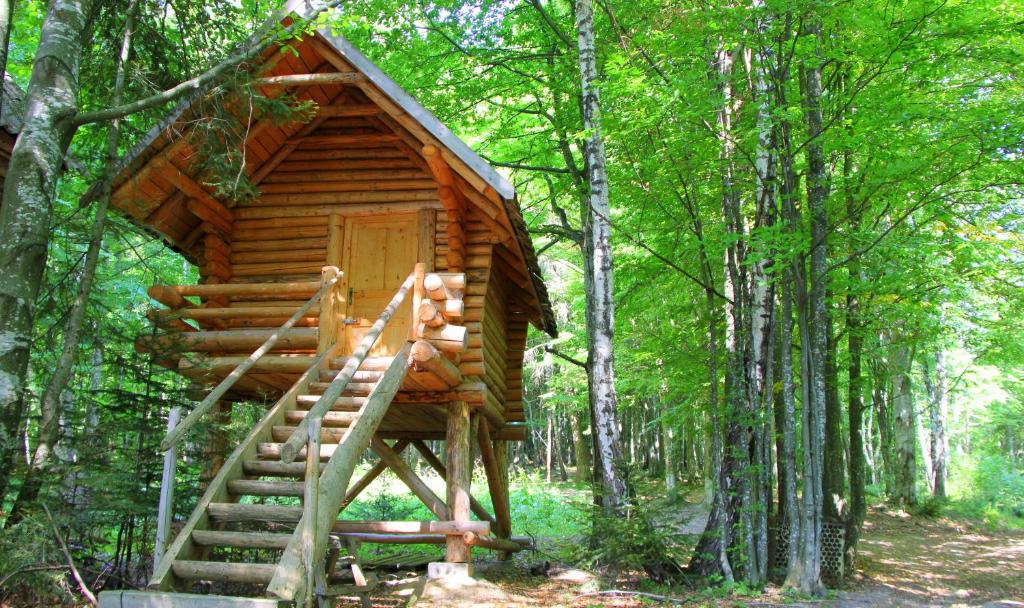 Peisaj natural din apropierea acestei cabane