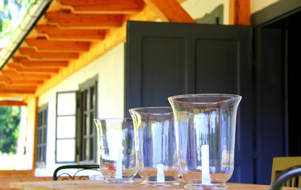 Băuturi la Dobrica Hunting Lodge