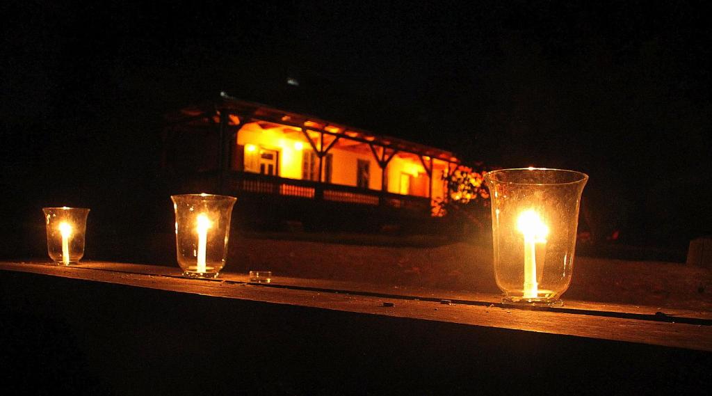 Băuturi la Dobrica Hunting Lodge