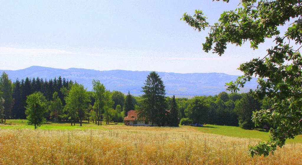Peisaj natural din apropierea acestei cabane
