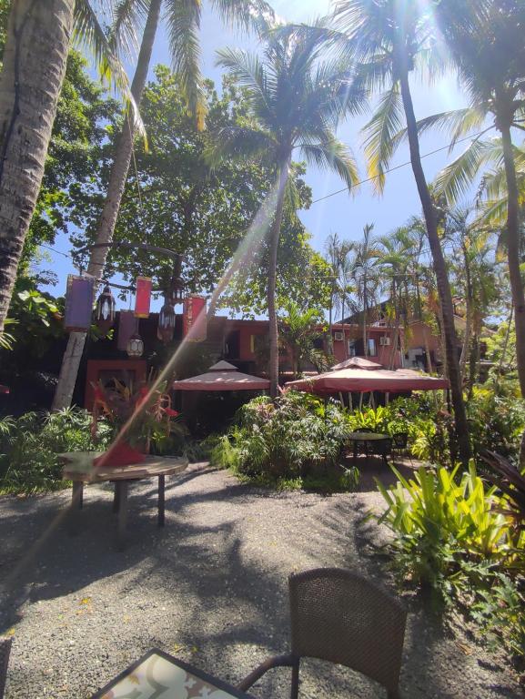 a hammock in a garden with palm trees at Hotel Laguna del Cocodrilo in Tamarindo