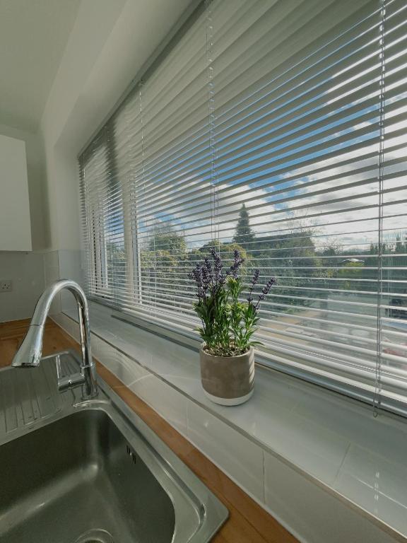 a kitchen sink with a window with a potted plant at Cloud Green apartment in Canley