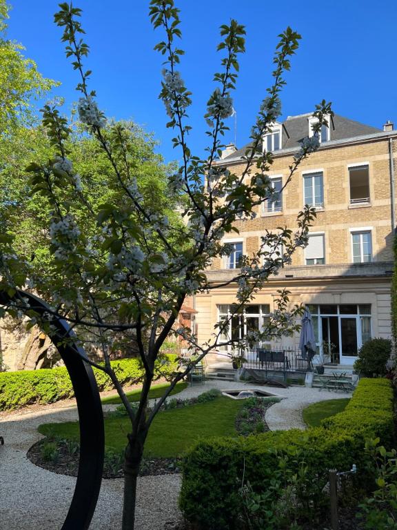 a building with a tree in front of it at La Demeure des Sacres - Cathédrale in Reims