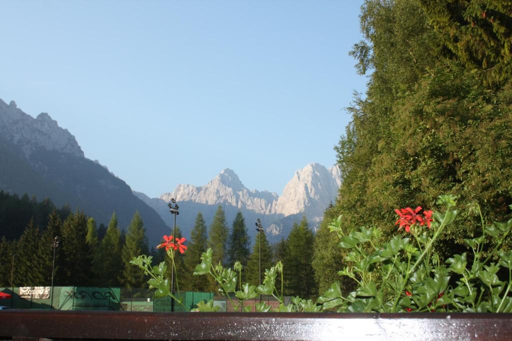 克拉尼斯卡戈拉的住宿－維拉羅馬納旅館，花园内种有红色的花卉和山脉