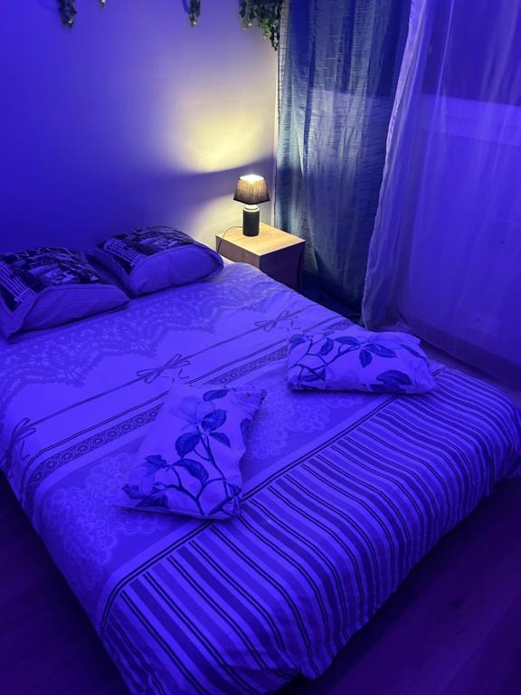 een paarse slaapkamer met een bed met paarse lakens bij Chez Stanislas in La Seyne-sur-Mer