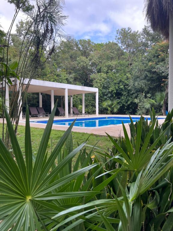 uma vista para a piscina a partir do jardim em Playa Car house em Playa del Carmen