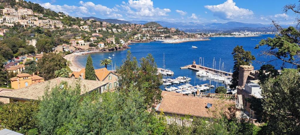 une vue d'un port avec des bateaux dans l'eau dans l'établissement La Toquade, à Théoule-sur-Mer