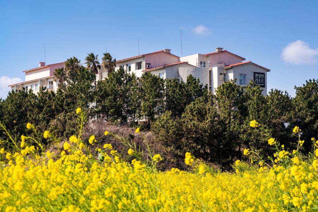 a house on a hill with a field of yellow flowers at Kensington Resort Seogwipo in Seogwipo