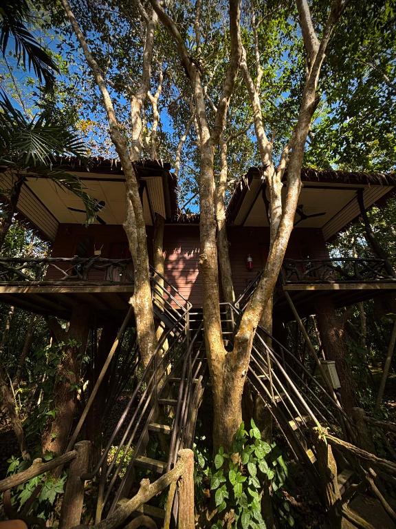 Khao Sok Paradise Resort - Family Bungalow