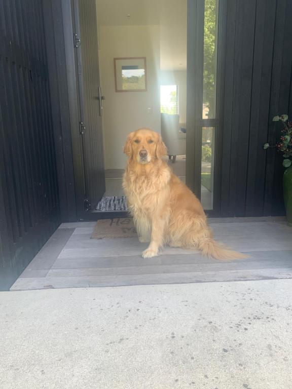 The Gate House - Resim 37