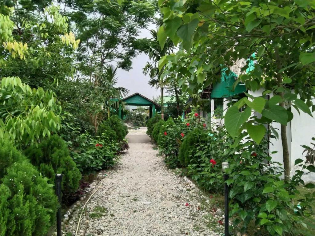 Jardin de l'établissement OYO Home Gorumara Manna Homestay