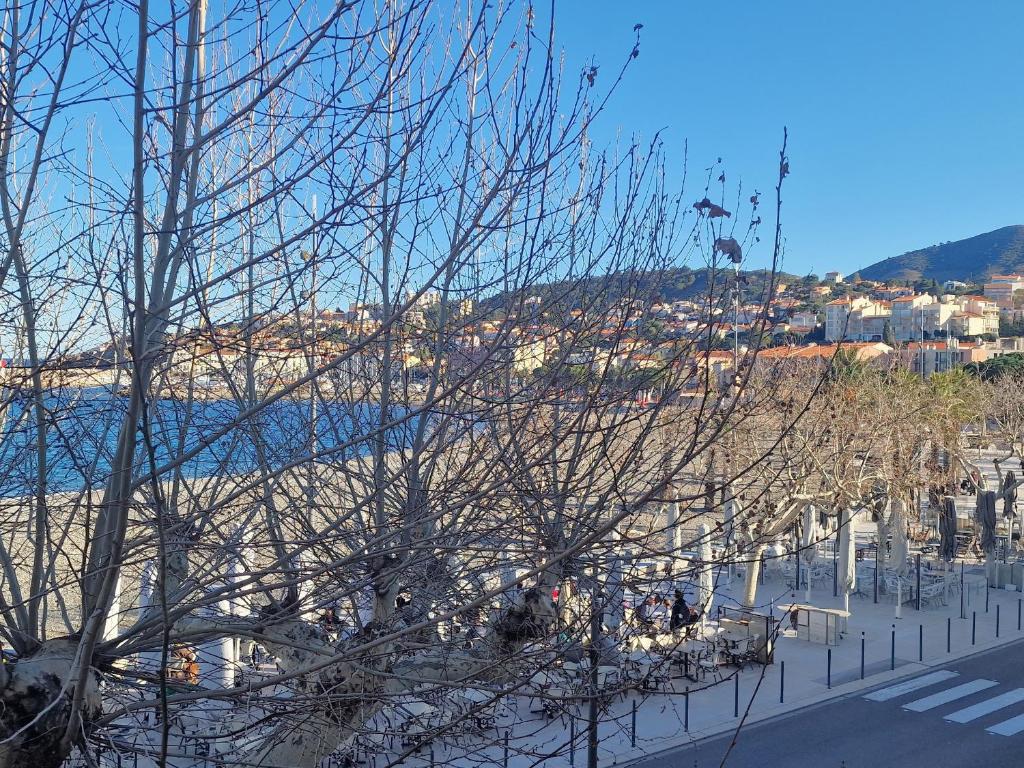 バニュルス・シュル・メールにあるAppartement Banyuls-sur-Mer, 3 pièces, 4 personnes - FR-1-309-9の道路横の葉のない木