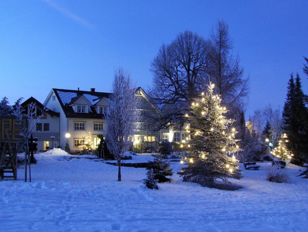Hotel und Restaurant Wolfensberg v zimě