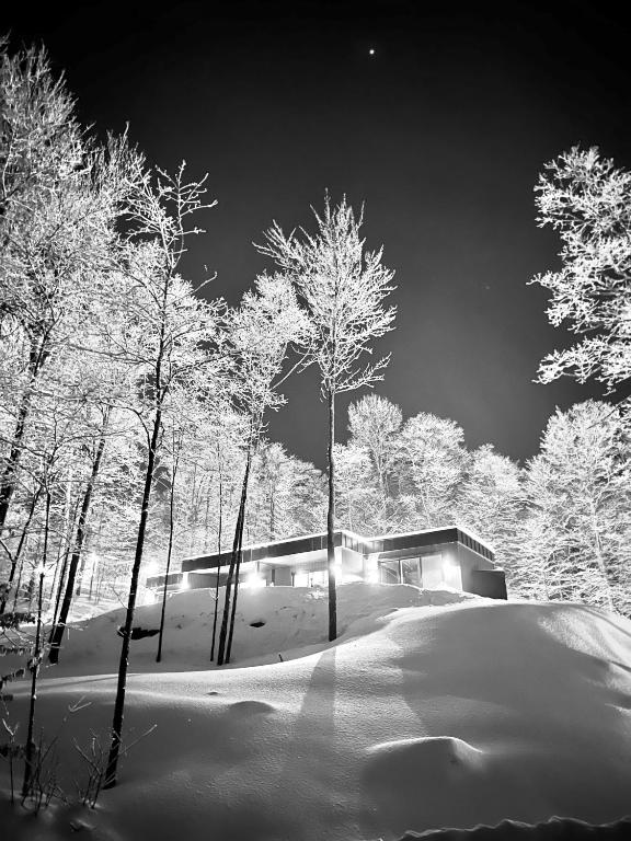 NEW Luxury chalet near MontTremblant, La Conception Updated 2024 Prices