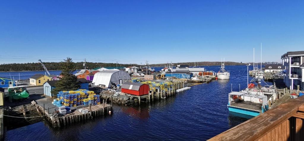 a group of boats docked at a dock in the water at The Inn at Fisherman's cove in Halifax