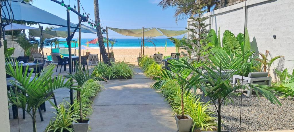 Josan Villa with a Glorious Beach and Sea View في Habaraduwa Central: مسار يؤدي إلى شاطئ به كراسي ونباتات